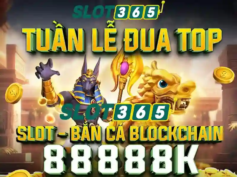 Slot365: Nền tảng trò chơi xèng trực tuyến