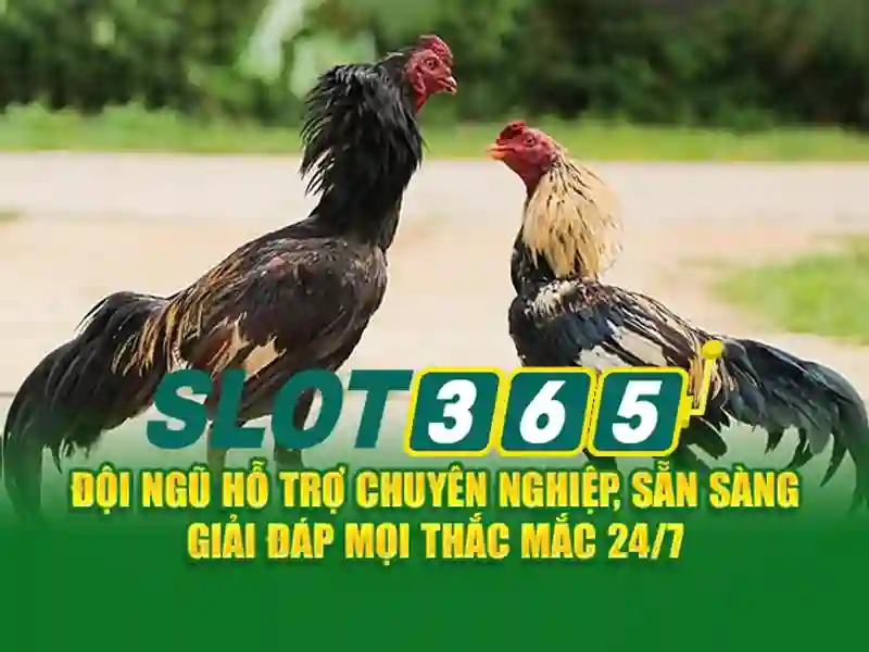 Nguồn gốc và sứ mệnh của Slot365 nổ hũ