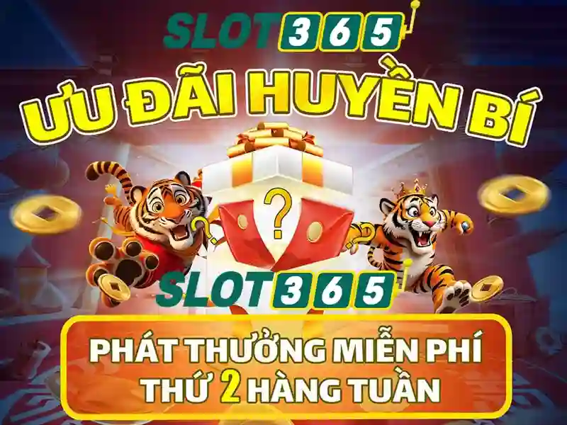Slot365 - Nền tảng máy xè trực tuyến