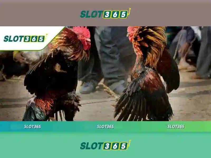 Bảo mật và thanh toán\n\n<h2><b>Kết luận về Slot365</b></h2>\n<p><span style=