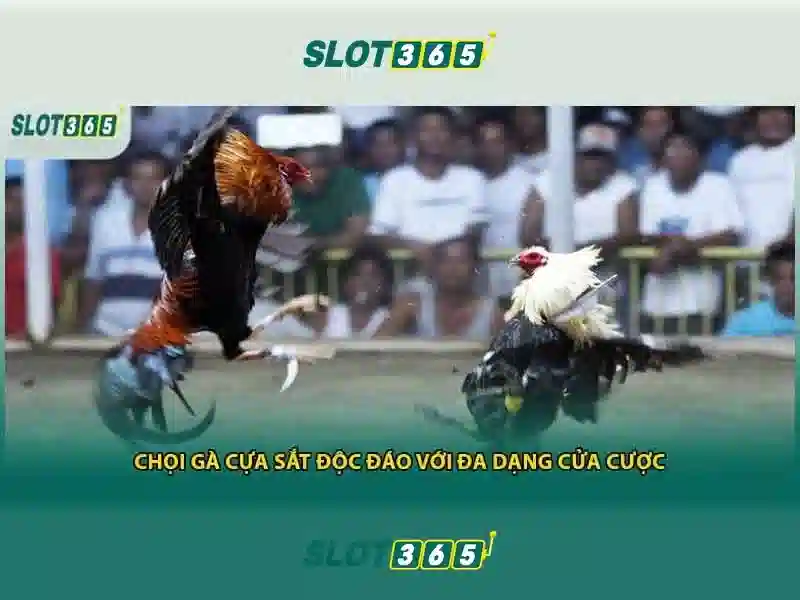 Khởi nguồn và sứ mệnh của Slot365 uy tín không