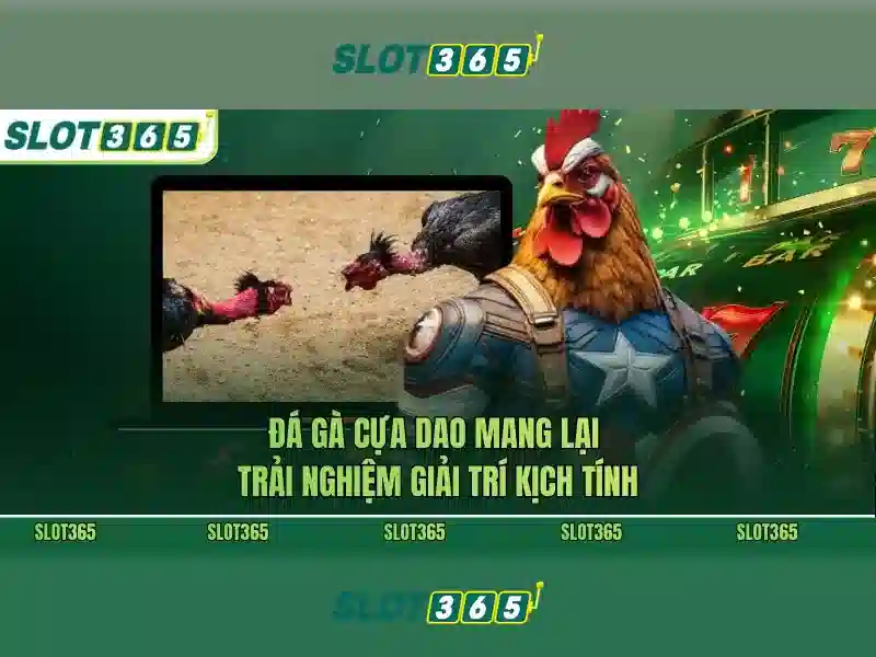 Khuyến mãi và chương trình thưởng