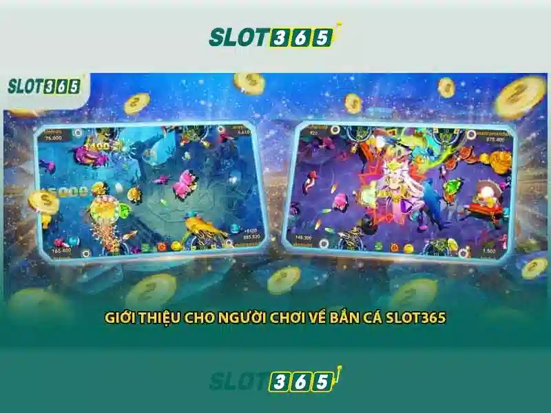 Slot365 là gì?