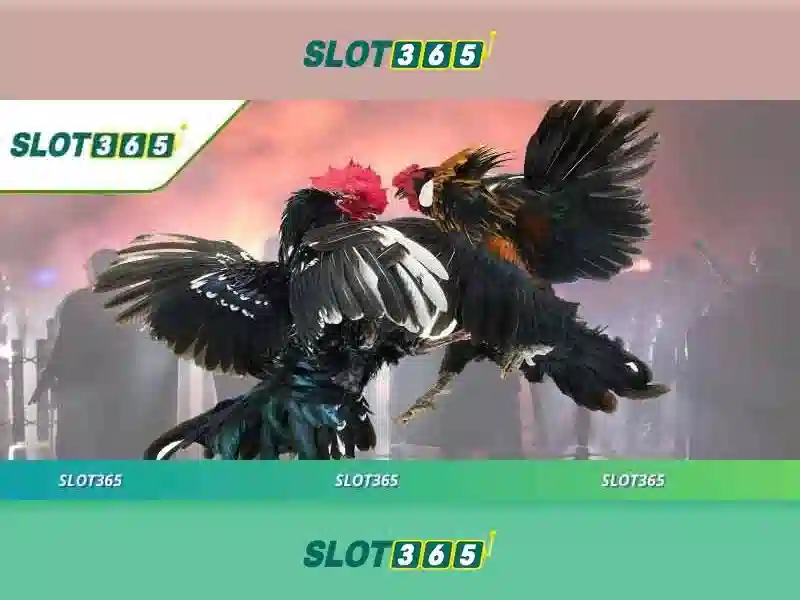 slot365 đăng nhập – Trải nghiệm đỉnh cao với slot365 poker