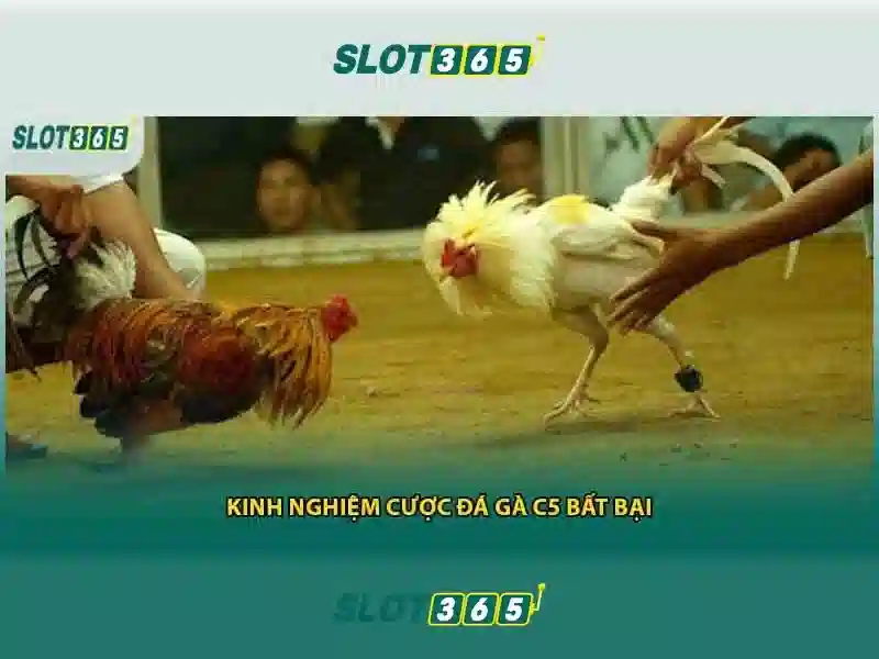 <!--IMG_PLACEHOLDER alt>Nguồn gốc và sứ mệnh của bắn cá Slot365-->