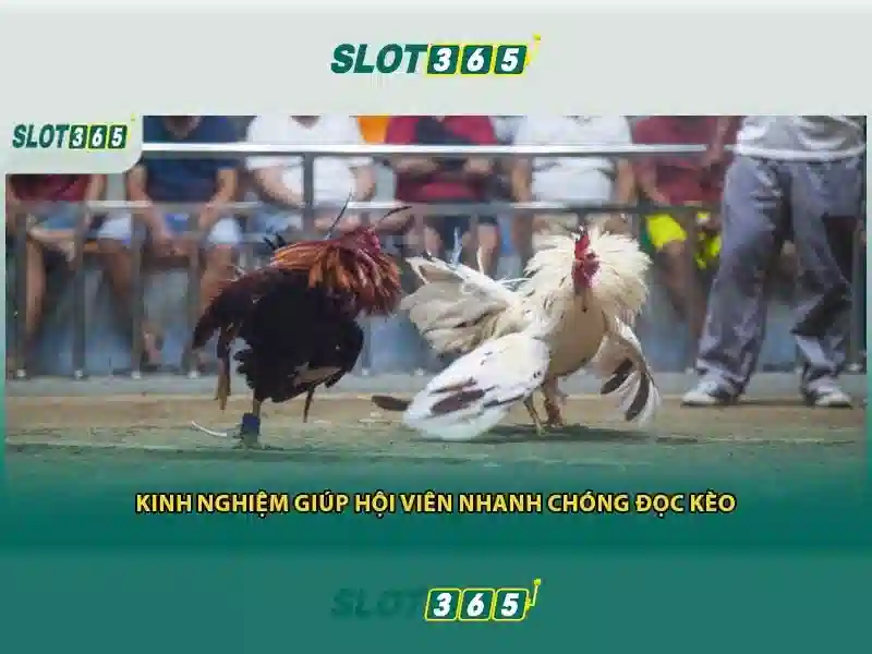 Các sản phẩm và dịch vụ cốt lõi