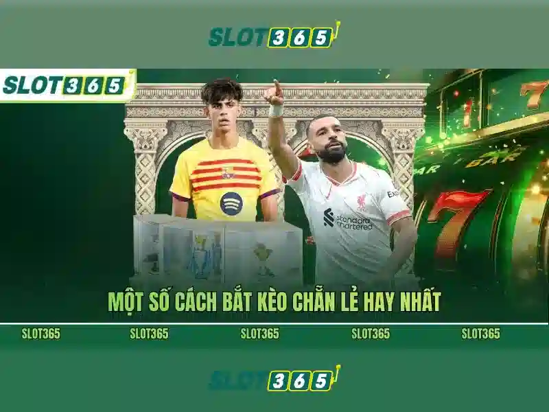 Slot365 là nền tảng slot trực tuyến hàng đầu