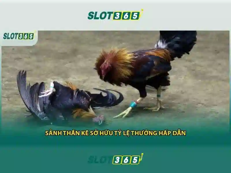 Các trò chơi và tính năng