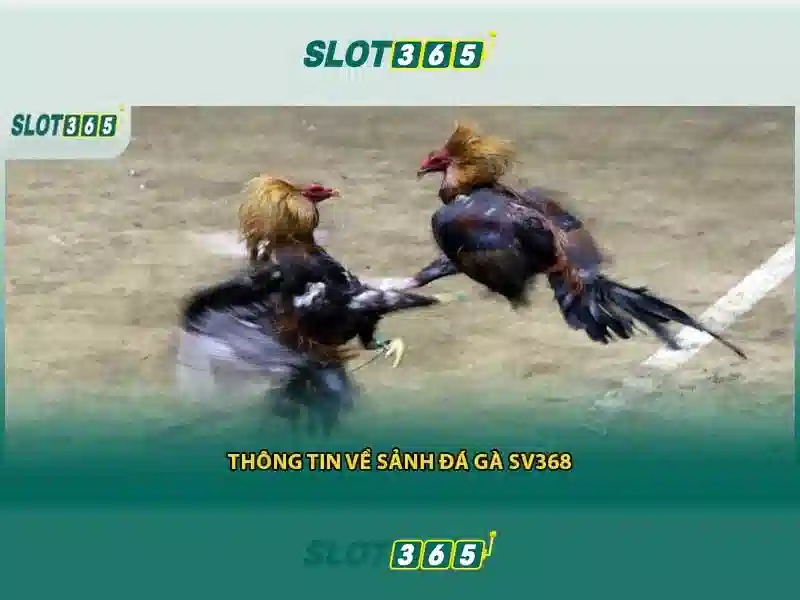 <!--IMG_PLACEHOLDER alt>Sản phẩm và dịch vụ cốt lõi: ứng dụng thực tế của slot365 là gì-->