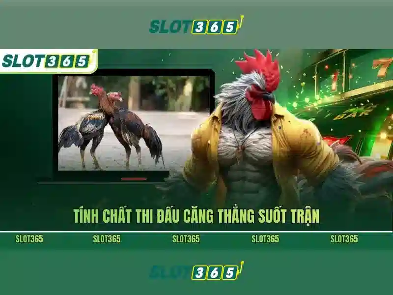 Slot365 free – Trải nghiệm an toàn với phiên bản mới Slot365