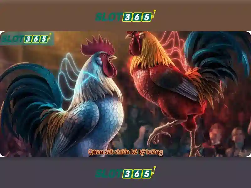 Slot365: Đánh giá tổng quan về nền tảng trò chơi slot