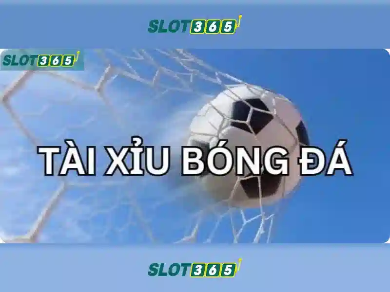 Tổng quan về Slot365