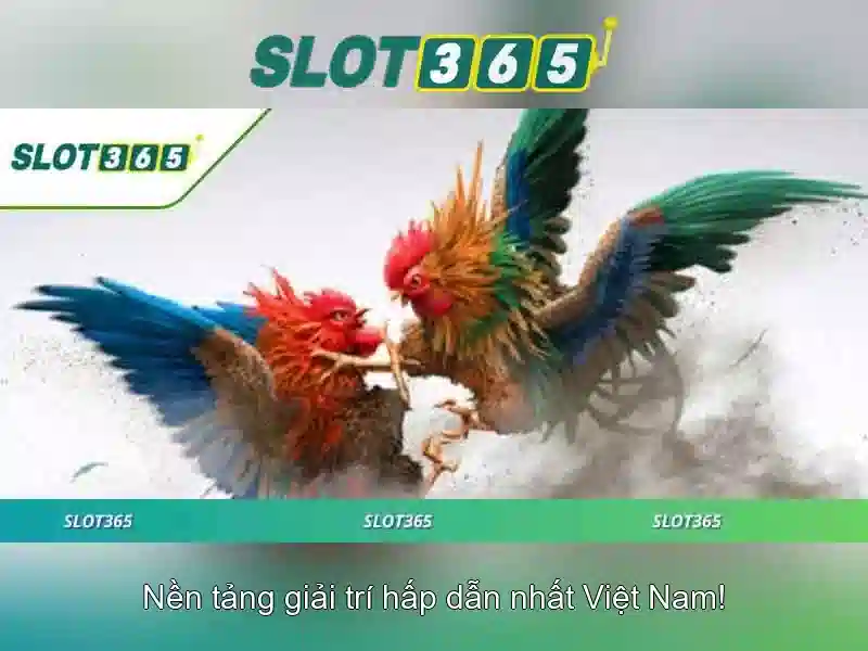 Phan hoi nguoi dung ve dang nhap slot365