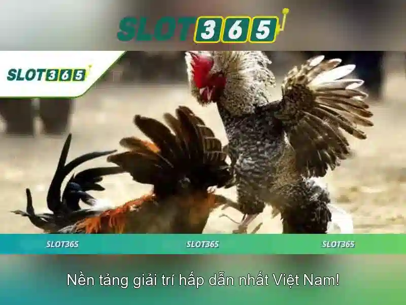 Slot365: trải nghiệm slot trực tuyến đỉnh cao