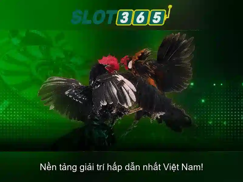 Slot365: Đánh giá nền tảng máy đánh bạc trực tuyến