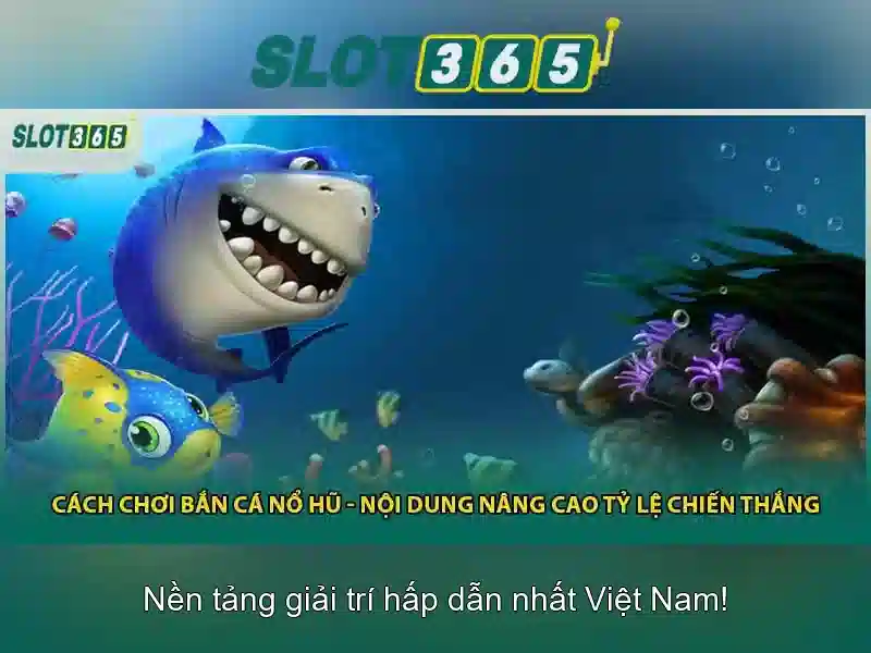 Giao diện và thanh toán