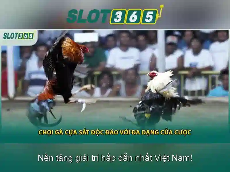 Khám phá chức năng và các trò chơi