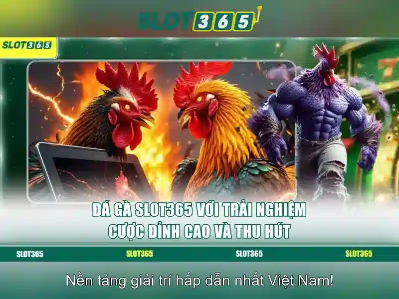 Slot365 - Nền tảng chơi slot trực tuyến và trải nghiệm người dùng
