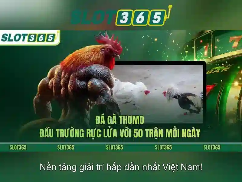 Công nghệ và lợi ích từ phần mềm Slot365