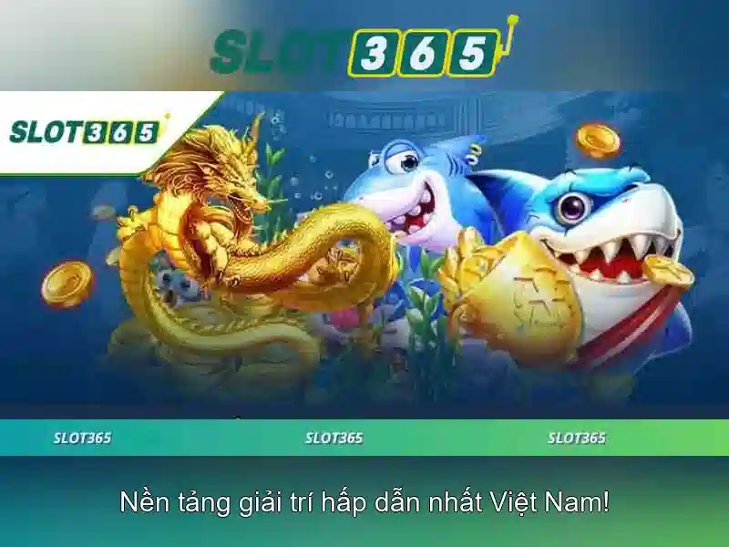 Khuyến mãi và chương trình thưởng