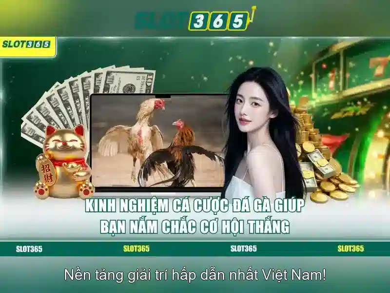 Slot365: Nền tảng casino trực tuyến