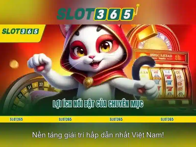 Slot365 là gì và trải nghiệm nền tảng slot365
