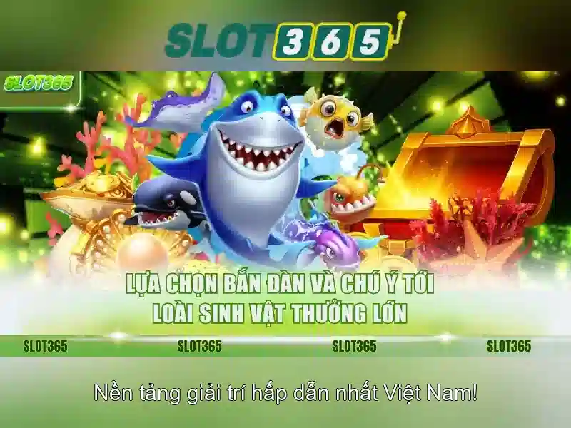 Giao diện và trải nghiệm người dùng