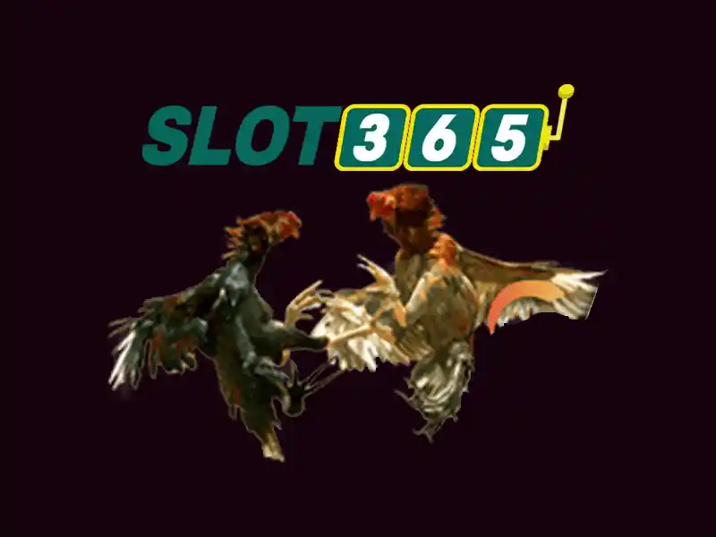 Slot365: Trải nghiệm trò chơi xèng trực tuyến đỉnh cao