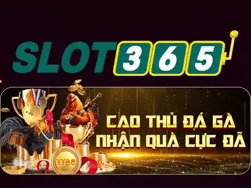 Slot365 - Tổng quan về nền tảng máy slot trực tuyến